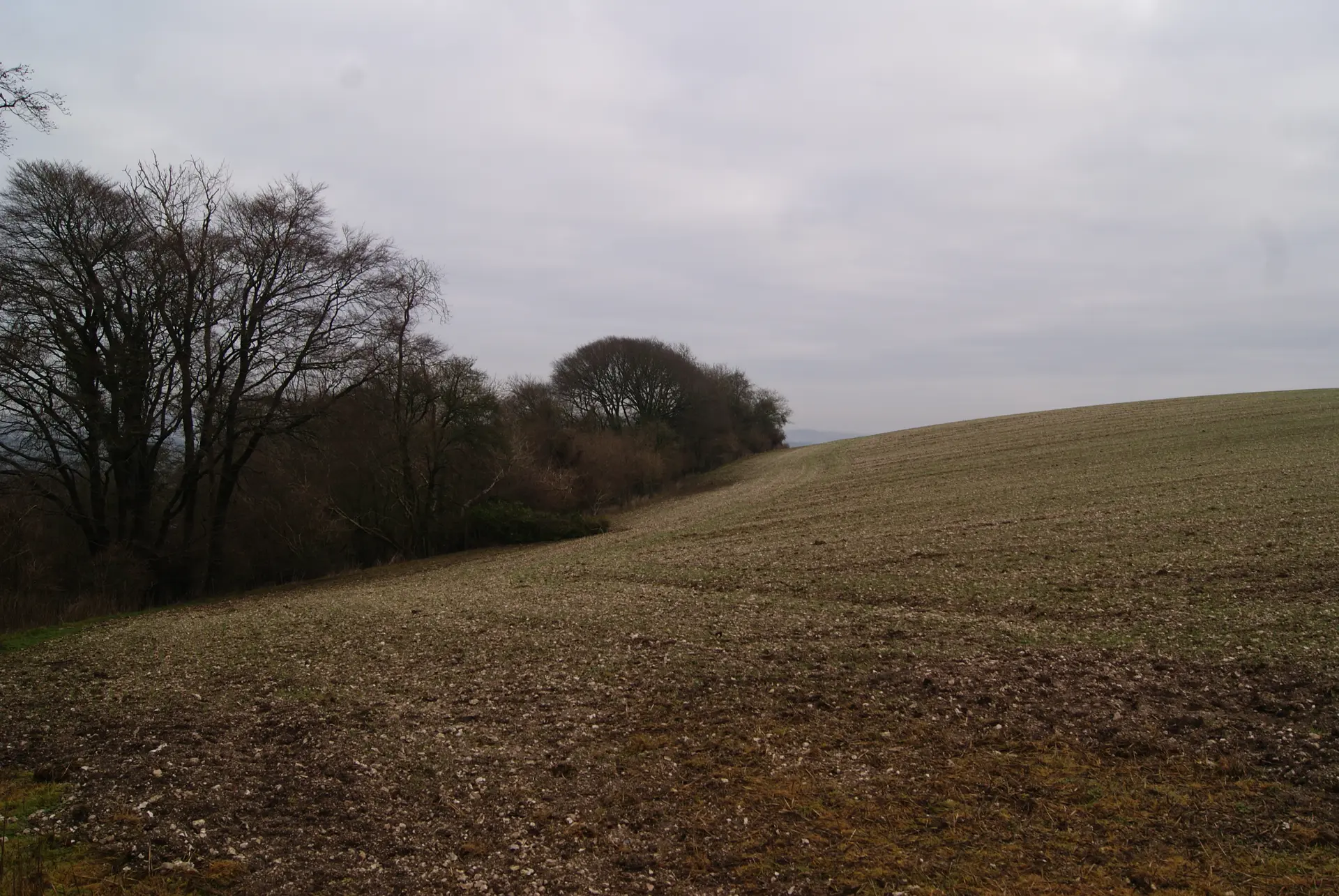 View of surrounding landscape