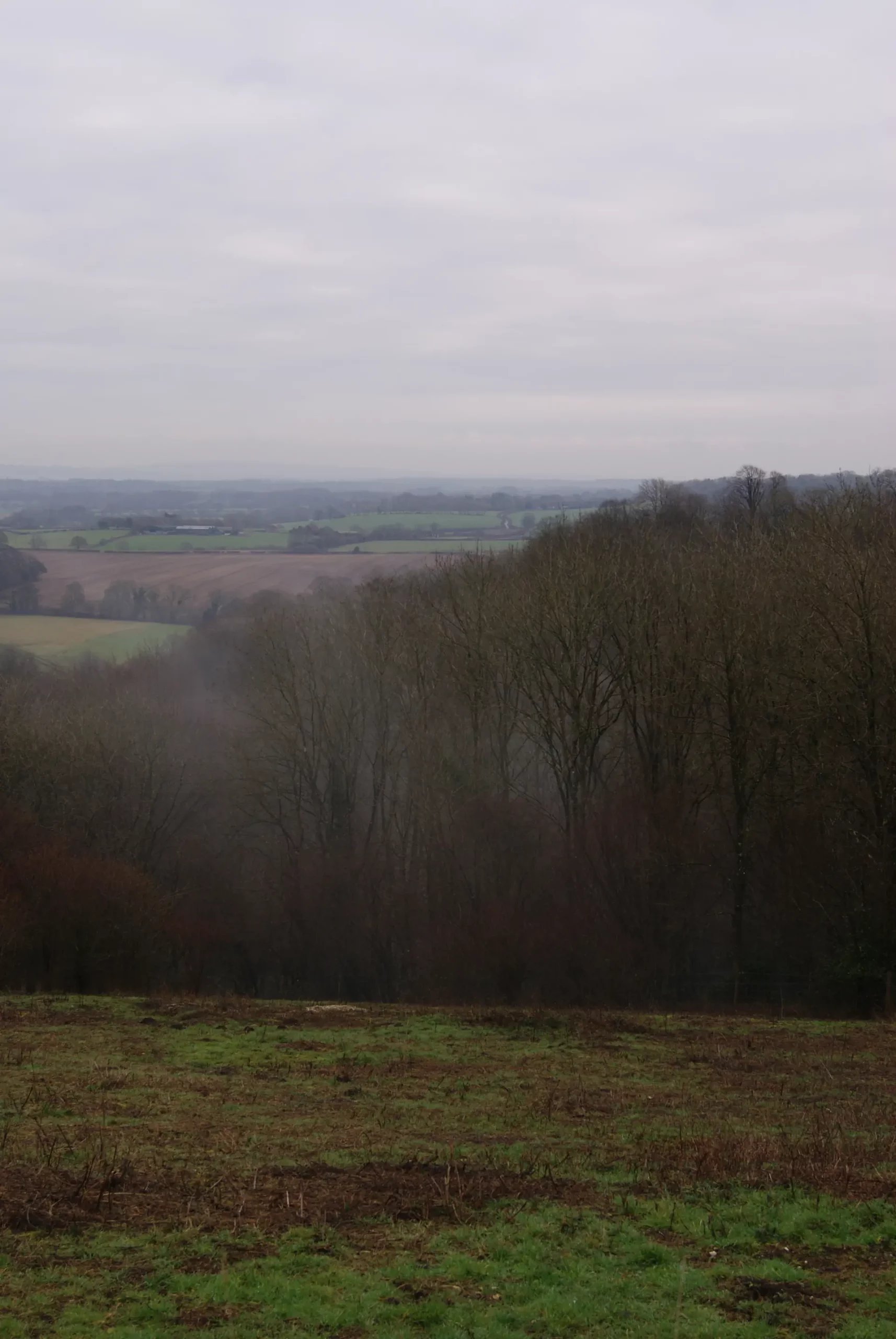 View of surrounding landscape